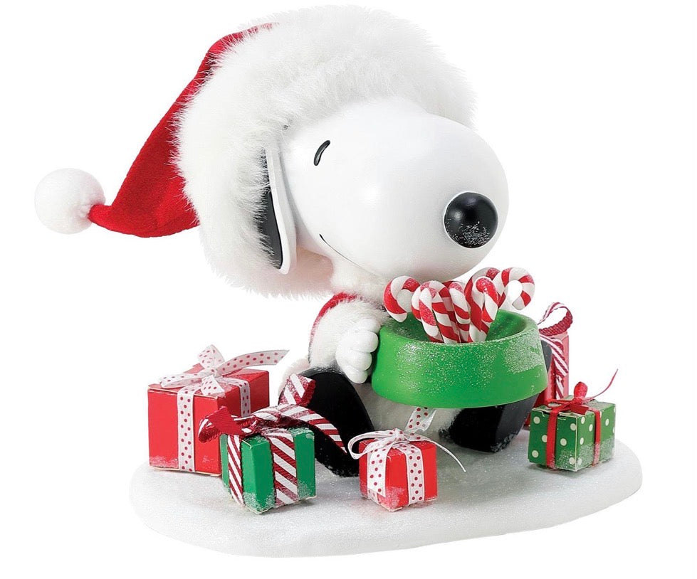 Snoopy's Bowl of Treats