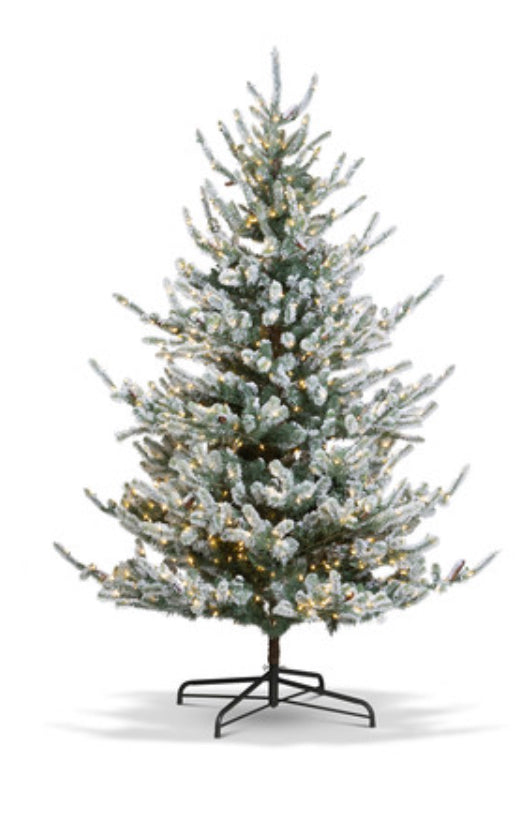 Park Hill Flocked Blue Spruce