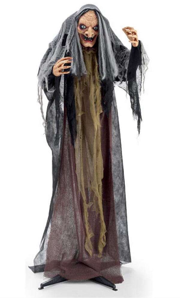 ANIMATED EVIL WITCH
