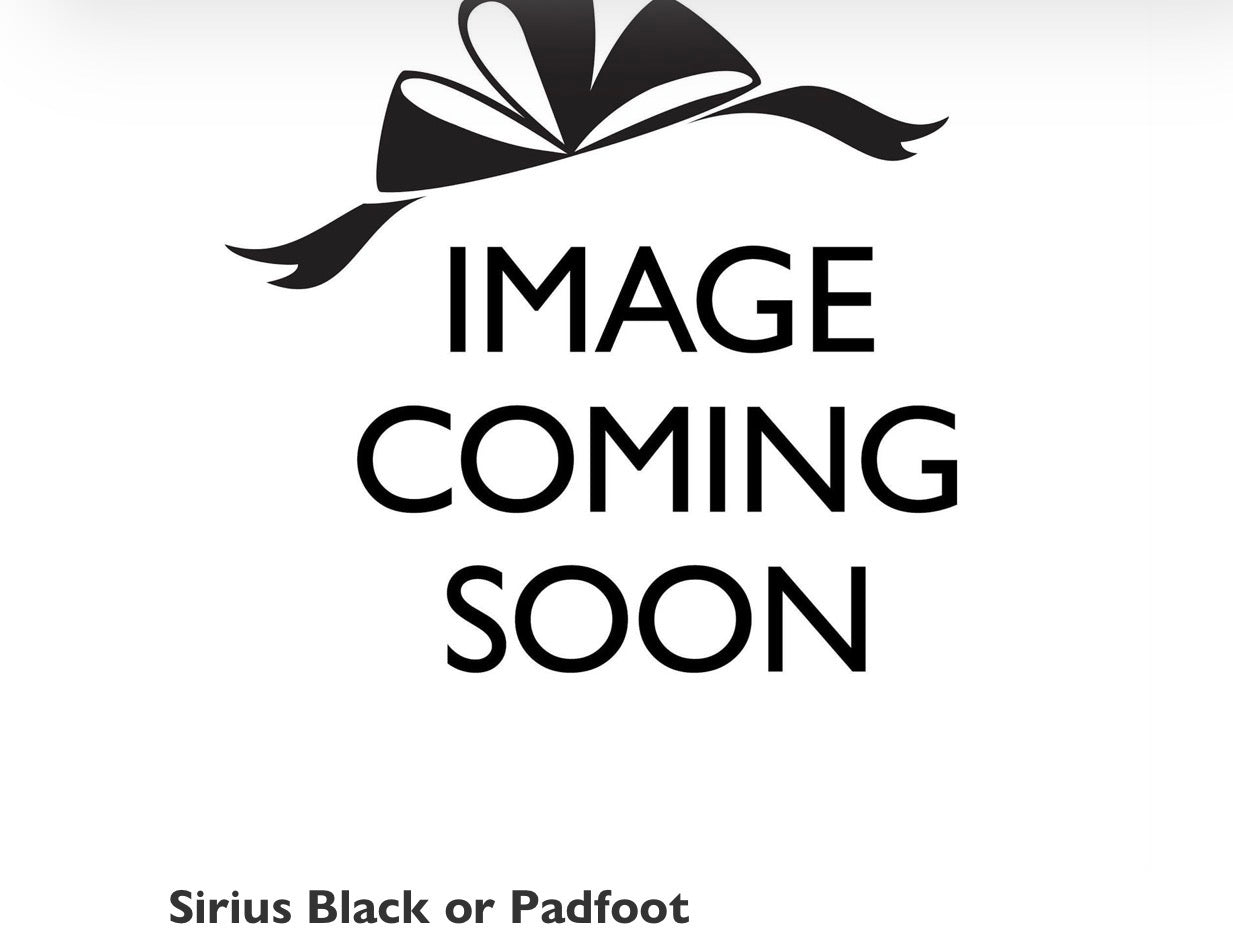 2026 Harry Potter Bundle