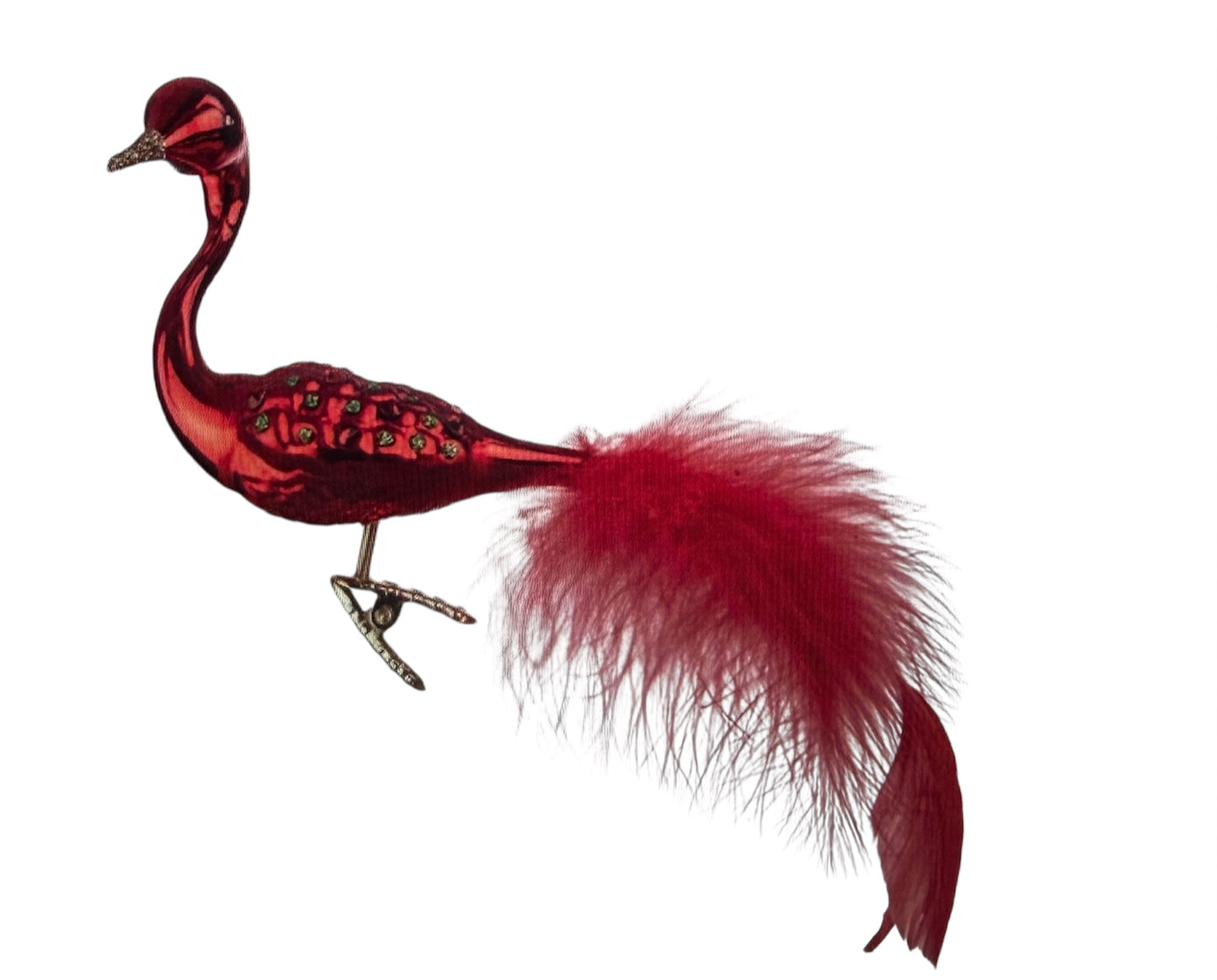 Christmas Peacock Red Pre Order