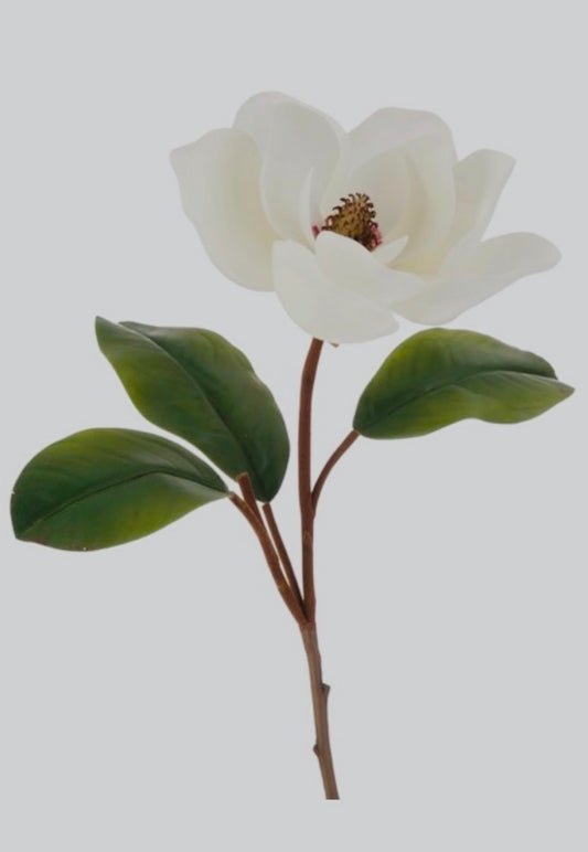 32" Real Touch
Magnolia Stem