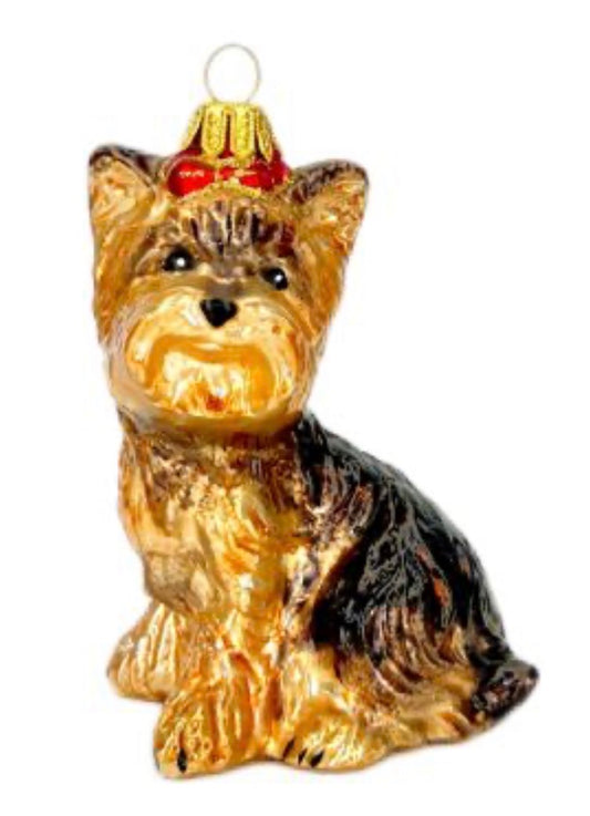 Terrier Dog