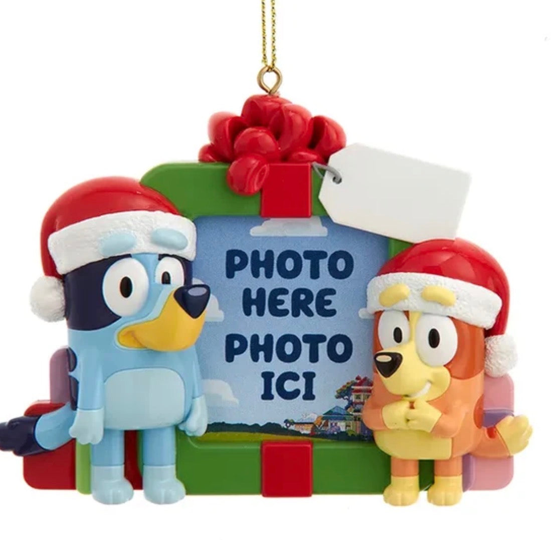 Personalized Bluey™ and Bingo Photo