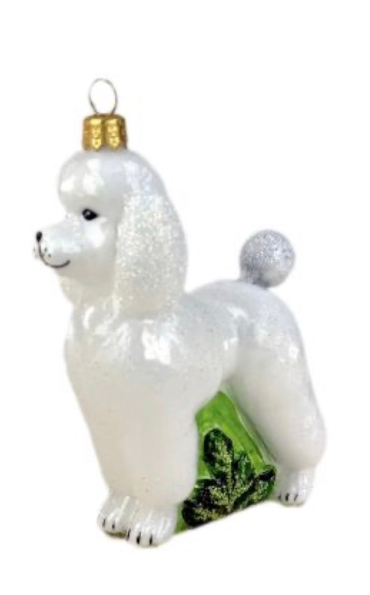 Poodle 3034X