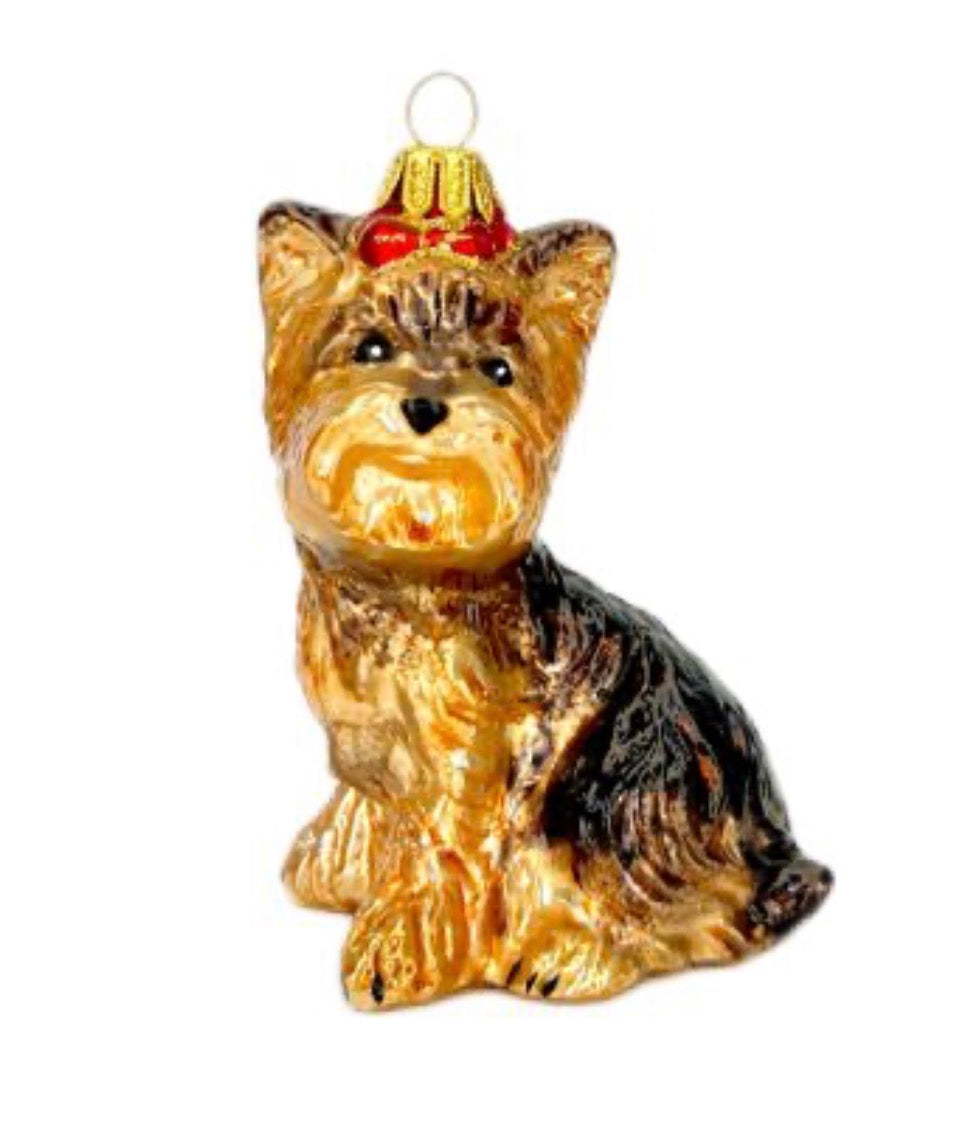Terrier