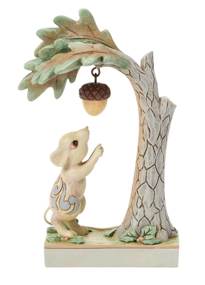 Woodland Curiosity