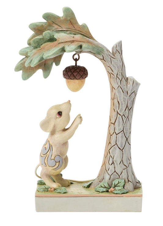 Woodland Curiosity