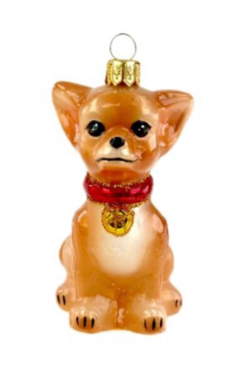 Chihuaha 1889X