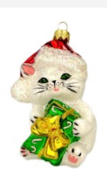 Kitty with hat