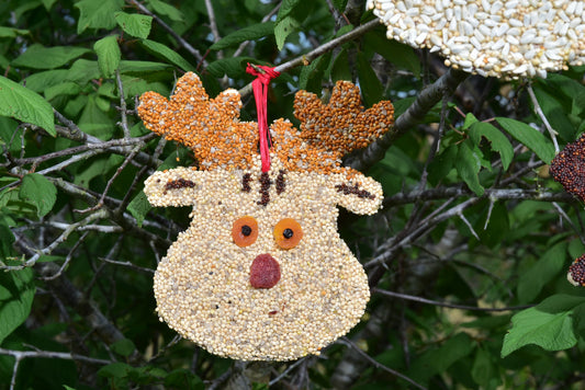 Rudolph Christmas Cookie