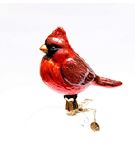 Clip on Cardinal